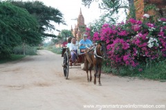 bagan011