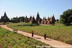 bagan022