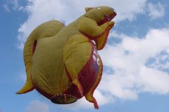 hotairbaloon-festavle003.jpg