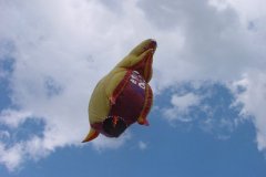 hotairbaloon-festavle004.jpg