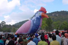 hotairbaloon-festavle005.jpg