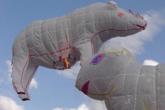 hotairbaloon-festavle014.jpg