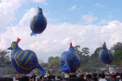 hotairbaloon-festavle018.jpg