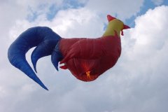 hotairbaloon-festavle022.jpg