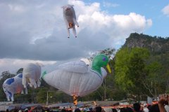 hotairbaloon-festavle024.jpg