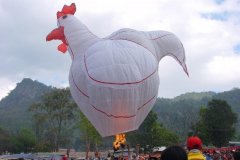 hotairbaloon-festavle064.jpg