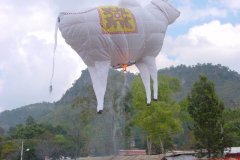 hotairbaloon-festavle068.jpg