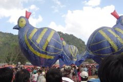 hotairbaloon-festavle076.jpg