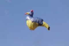 hotairbaloon-festavle080.jpg