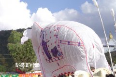 hotairbaloon-festavle081.jpg