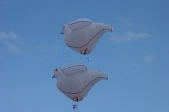 hotairbaloon-festavle086.jpg