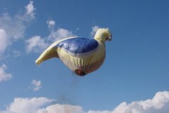 hotairbaloon-festavle089.jpg