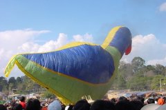 hotairbaloon-festavle090.jpg