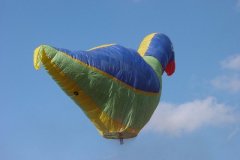 hotairbaloon-festavle091.jpg