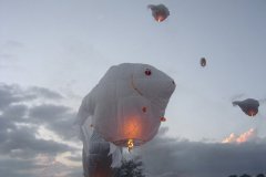 hotairbaloon-festavle100.jpg