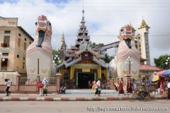 pyay078.jpg