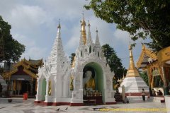 shwe016.jpg