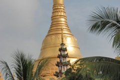 shwe019.jpg