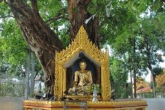 shwe020.jpg